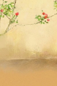 曼联主场憾平诺里奇，无缘全取三分