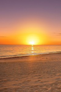 曼联主场憾平诺里奇，无缘全取三分