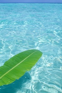 金牌花落谁家开拓胜利光芒绽放