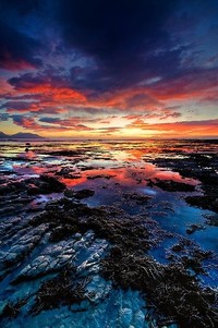 里尔主场踢平，保持难以战胜之势